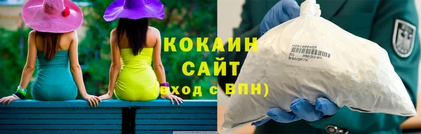 прущий лед Алзамай