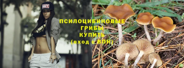 героин Абаза