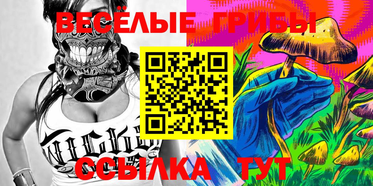 Дмитров  Псилоцибиновые грибы MAGIC MUSHROOMS  Псилоцибиновые грибы мицелий  Вход с VPN 